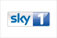 skyone-logo